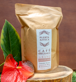 Café orgánico Puerta Azteca Europeo Grano 1kg con taza de café